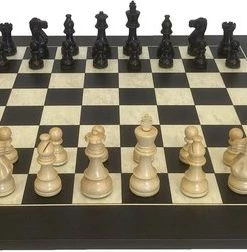 Raindroptime.com Luxe Schaakspel - Spaans Bord Met Indiase Stukken - Ebonised - Nummer 6 - Schaakbord Met Stukken