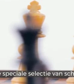 Merkloos Schaakstukken | Speelstukken | Plastic Schaakstukken | Schaken | Plastic | 96 Mm -klassieke-spellen Winkel 550x278 18