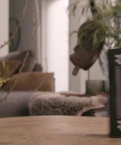 klassieke-spellen Winkel -klassieke-spellen Winkel 550x309 14